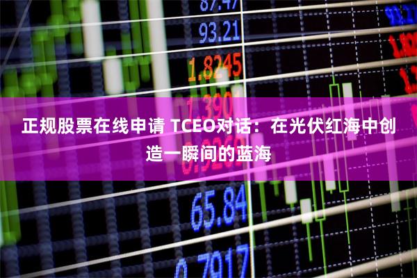 正规股票在线申请 TCEO对话：在光伏红海中创造一瞬间的蓝海