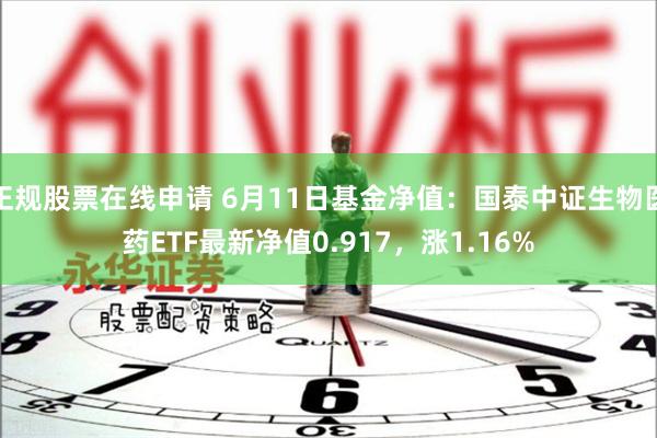 正规股票在线申请 6月11日基金净值：国泰中证生物医药ETF最新净值0.917，涨1.16%