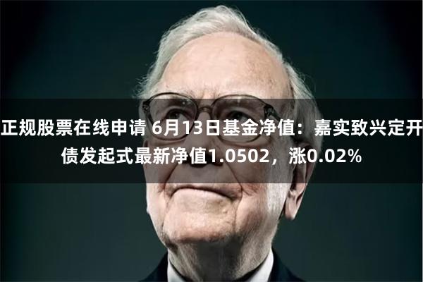 正规股票在线申请 6月13日基金净值：嘉实致兴定开债发起式最新净值1.0502，涨0.02%